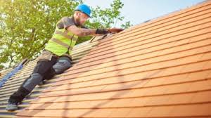 Best Roof Ventilation Installation  in Carnesville, GA