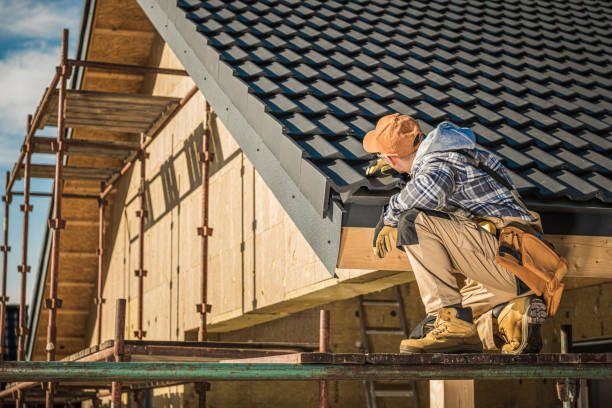 Best Roof Moss and Algae Removal  in Carnesville, GA