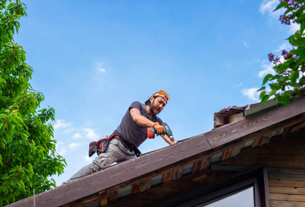 Best Rubber Roofing (EPDM, TPO)  in Carnesville, GA